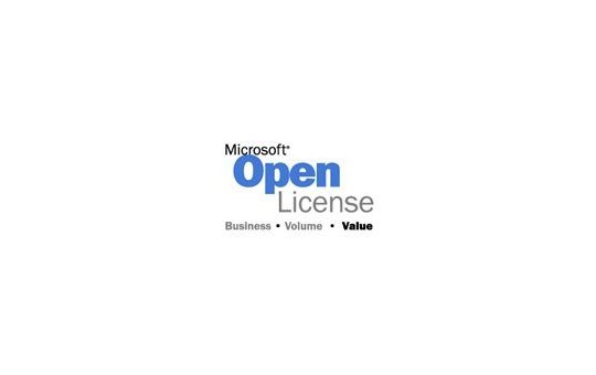 Microsoft Windows Server - Operating System - License only Government License 