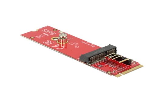 Delock Schnittstellenadapter - M.2 - PCIe - PCIe 
