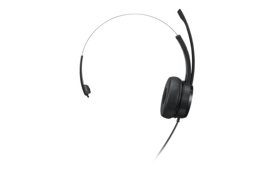 Lenovo 100 - Headset - On-Ear - kabelgebunden 