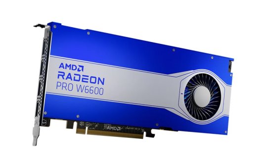 AMD Radeon Pro W6600 - Grafikkarten - Radeon Pro W6600 