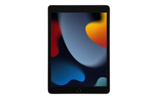 Apple iPad 10.2 Wi-Fi 256 GB Gray - 10.2" Tablet - A13 25.9cm-Display 