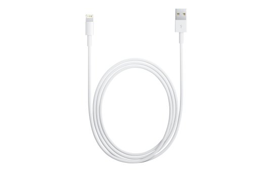 Apple Lightning-Kabel - Lightning männlich zu USB männlich - 1 m - für Apple iPad/iPhone/iPod (Lightning) 