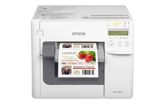 Epson TM C3500 - Etikettendrucker - Farbe - Tintenstrahl - 112 mm (Breite) 